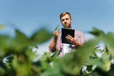 young-handsome-agriculture-engineer-soybean-field-with-tablet-hands-early-summer